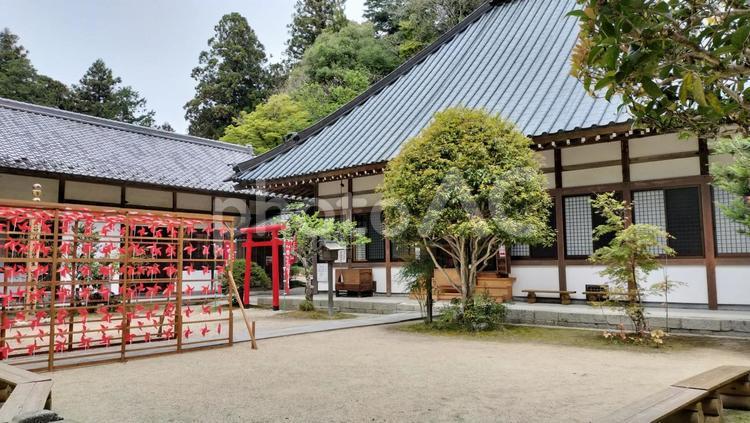 香積寺 もみじ,青もみじ,風車の写真素材
