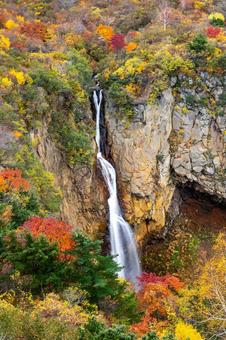 蔵王の紅葉⒆の写真