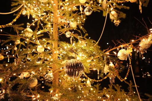 クリスマスツリーイルミネーション クリスマスツリーイルミネーション クリスマスイルミネーション,クリスマスツリー,イルミネーションの写真素材