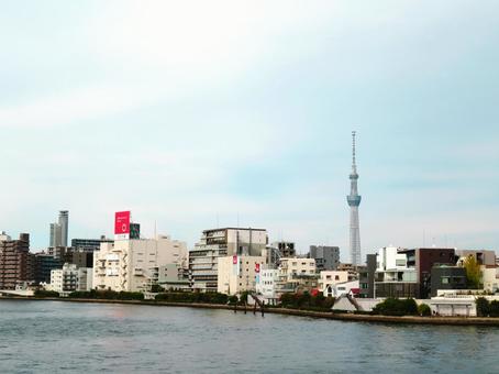 スカイツリーと隅田川 スカイツリー,隅田川,風景の写真素材