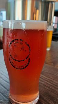 クラフトビール クラフトビール ビール,お酒,グラスの写真素材