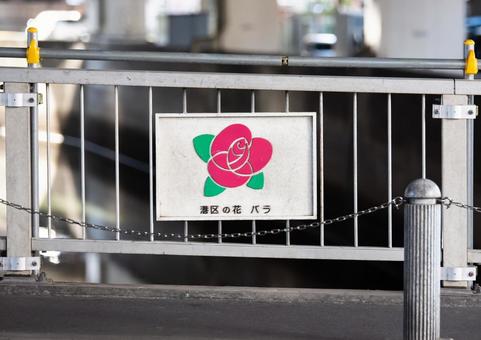 港区の花 港区の花の写真