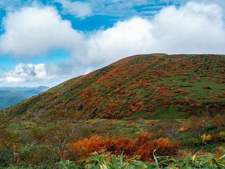 紅葉の秋田駒ケ岳 秋田駒ケ岳,紅葉,秋の写真素材