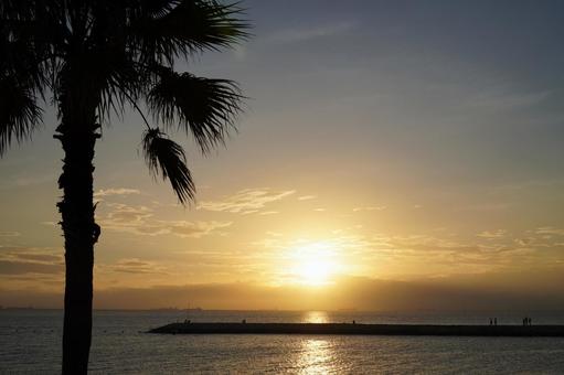 海辺で見る夕陽 海辺で見る夕陽 夕焼け,夕暮れ,夕陽の写真素材