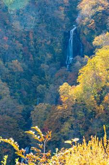 蔵王の紅葉(36)の写真