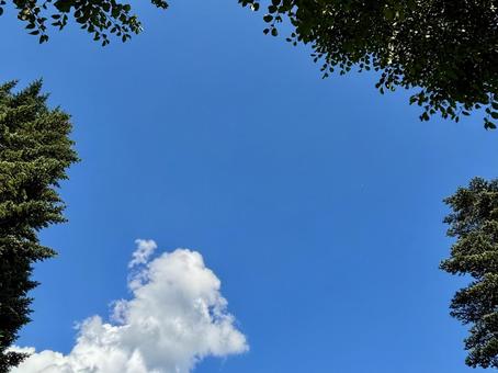 澄み渡る青空 澄み渡る青空の写真