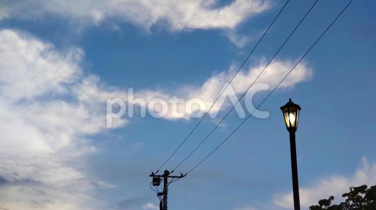 8月の明け方の空と街灯 街灯,灯り,青空の写真素材