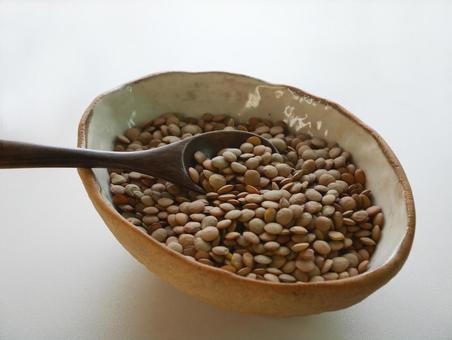 茶レンズマメ② 茶レンズマメ② レンズ豆,豆類,茶レンズマメの写真素材