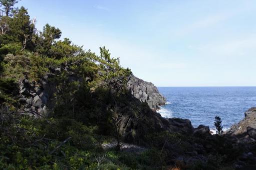 城ケ崎 城ケ崎の写真