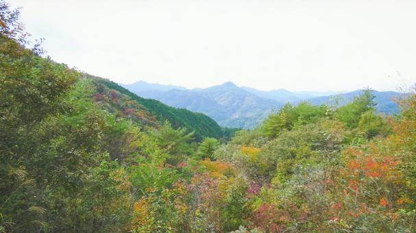 初秋 紅葉,秋,もみじの写真素材