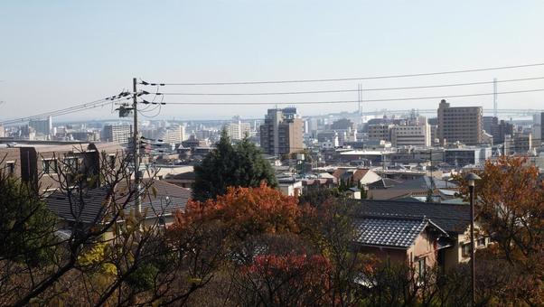 岡本梅林公園から見た市街地の風景 岡本梅林公園,木,樹木の写真素材
