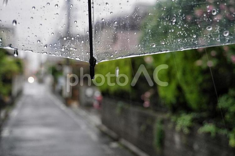 雨 雨,通り,ぬれたの写真素材