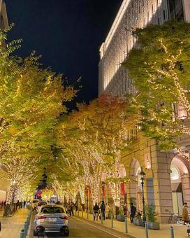 街を彩るイルミネーションの並木道 イルミネーション,並木道,街灯りの写真素材