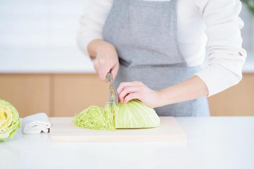 キャベツの千切りをしている手 キャベツの千切りをしている手の写真