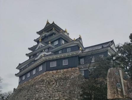 岡山城 岡山城の写真
