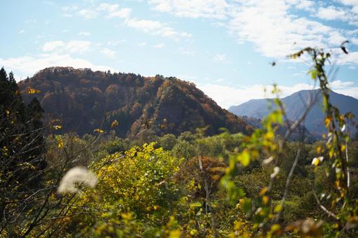 秋　遠くの山 秋,紅葉,自然の写真素材