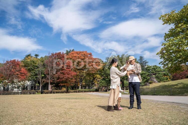 秋の公園で遊ぶ家族・ファミリー 家族,ファミリー,ピクニックの写真素材