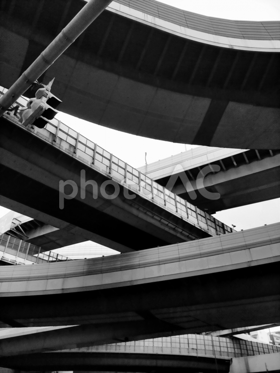 高速道路ジャンクションと信号機　モノクロ ジャンクション,高速道路,道路の写真素材