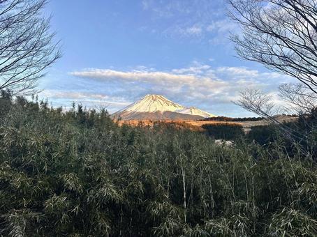 笹越しに見る富士山 笹越しに見る富士山の写真