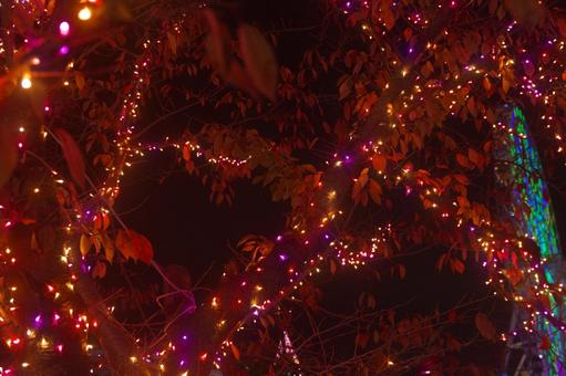 赤い色のイルミネーション イルミネーション,led,クリスマスの写真素材