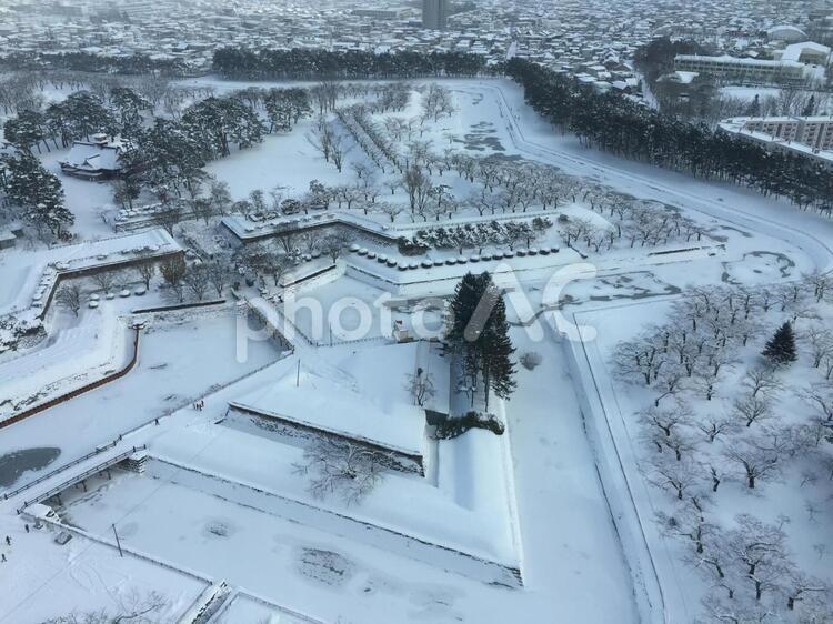 冬の五稜郭の全景 五稜郭,雪原,雪景色の写真素材