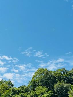 Sky and Tree 2, JPG
