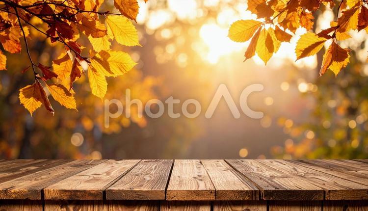 秋の紅葉と木のテーブル素材 秋,紅葉,落ち葉の写真素材