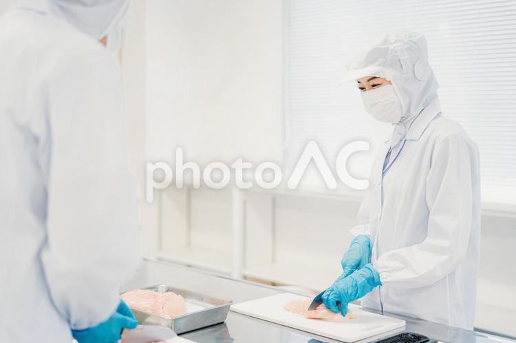 食品加工の仕事をする作業員の男女（精肉） 食品加工,精肉加工,肉の写真素材