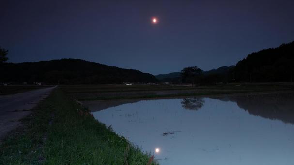 水田に映る月の静寂 水田に映る月の静寂 水田,田んぼ,月の写真素材