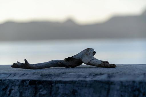 瀬戸内町の朝 鹿児島県,奄美大島,瀬戸内町の写真素材