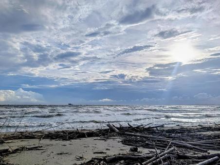 幕張の浜―砂浜に打ち上がって溜まった流木 海,波,流木の写真素材
