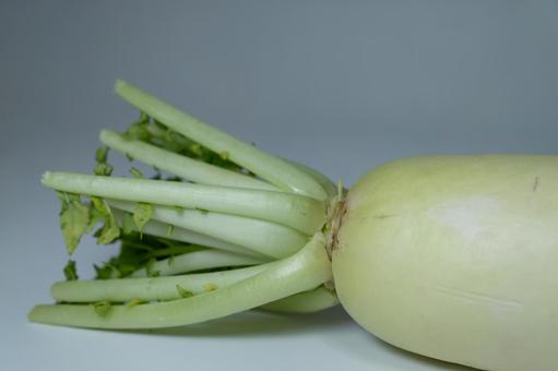 葉付きの新鮮な大根のアップ 大根,葉,葉付き大根の写真素材