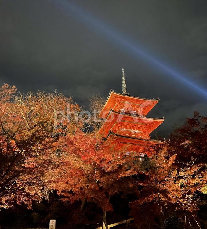 ライトアップ清水寺五重塔とレーザービーム 清水寺,八坂の塔,祇園の写真素材