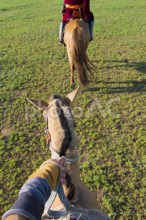 馬の背中から見る景色_前を行く遊牧民 馬,馬の背中,乗馬の写真素材