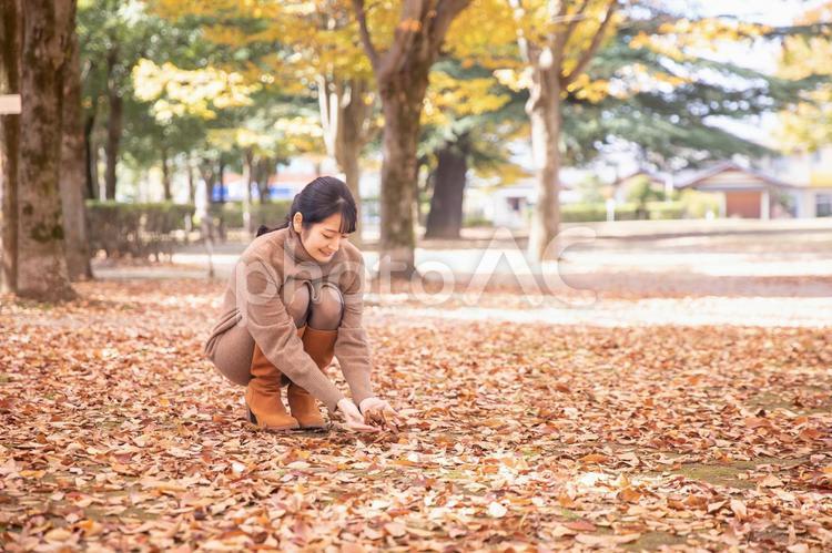 秋の公園の落ち葉で遊ぶ女性 秋,紅葉,女性の写真素材