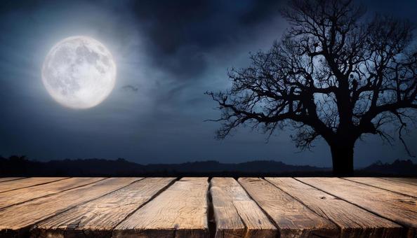 板と枯れ木と月、ハロウィンの写真