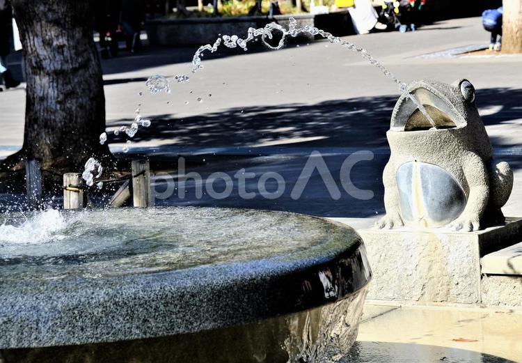 しぶきのテクスチャ４ しぶき,カエル,上野公園の写真素材