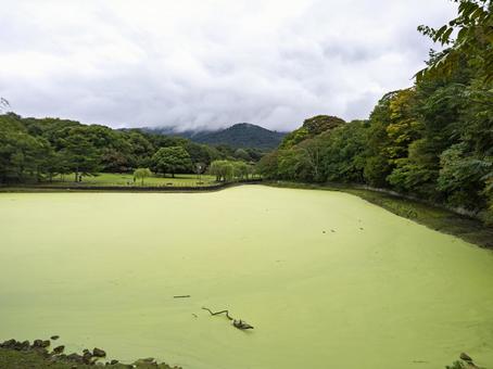 静寂の池、緑の幻想 奈良公園,荒池,池の写真素材
