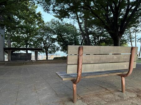 ベンチと木漏れ日 ベンチと木漏れ日 ベンチ,景色,昼の写真素材