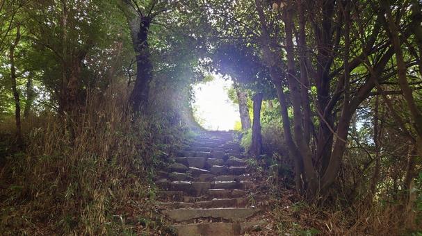 ハイキング道 ハイキング道の写真