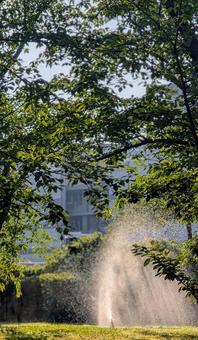 スプリンクラーと夏の日差し スプリンクラーと夏の日差し スプリンクラー,散水,水しぶきの写真素材
