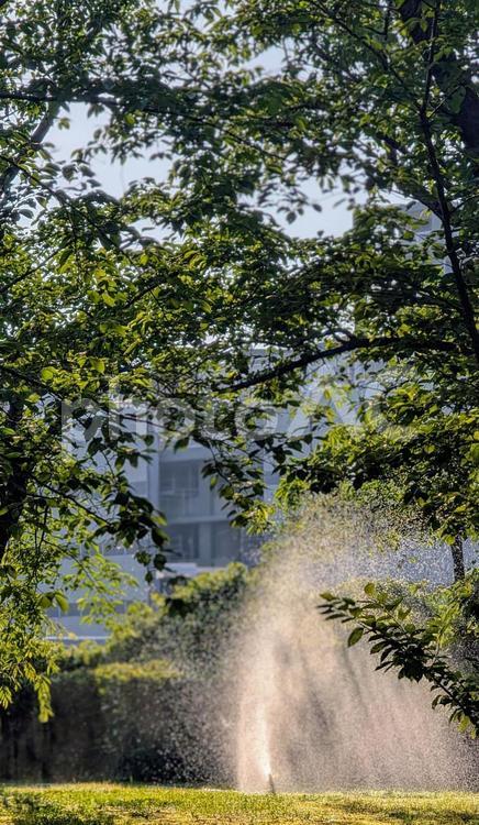 スプリンクラーと夏の日差し スプリンクラー,散水,水しぶきの写真素材