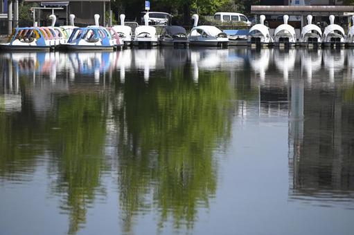 静かに佇むスワンボート 静かに佇むスワンボートの写真