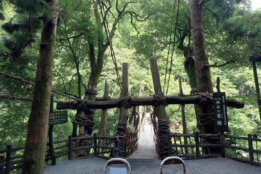 徳島県-祖谷のかずら橋 徳島県-祖谷のかずら橋 祖谷,かずら橋,奇橋の写真素材