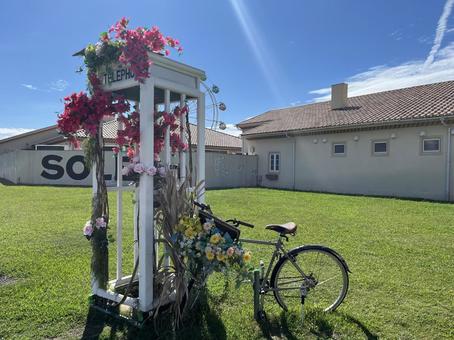 自転車とお花に包まれた電話ボックス 自転車とお花に包まれた電話ボックス 空,晴れ,青空の写真素材