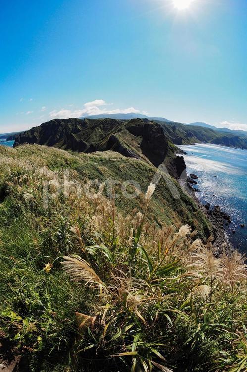 神威岬の道のり（縦位置） 北海道,夏,旅行の写真素材