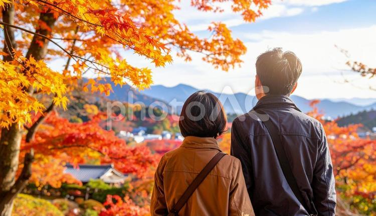 美しい紅葉を眺める夫婦の後ろ姿 紅葉,眺める,夫婦の写真素材
