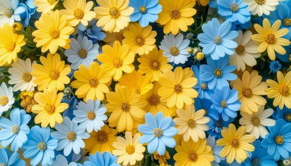 花を寄せ集めた鮮やかな背景写真素材 花を寄せ集めた鮮やかな背景写真素材の写真