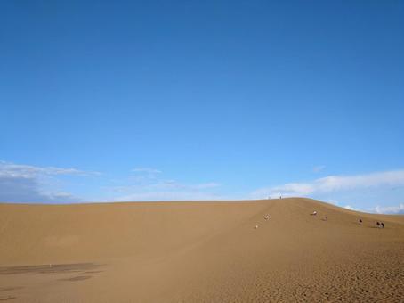 鳥取砂丘 鳥取砂丘,砂漠,砂紋の写真素材