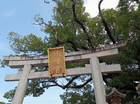 中百舌鳥八幡宮 鳥居 中百舌鳥八幡宮 鳥居の写真